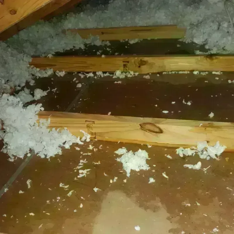 Attic Water Damage in Tracyton, WA